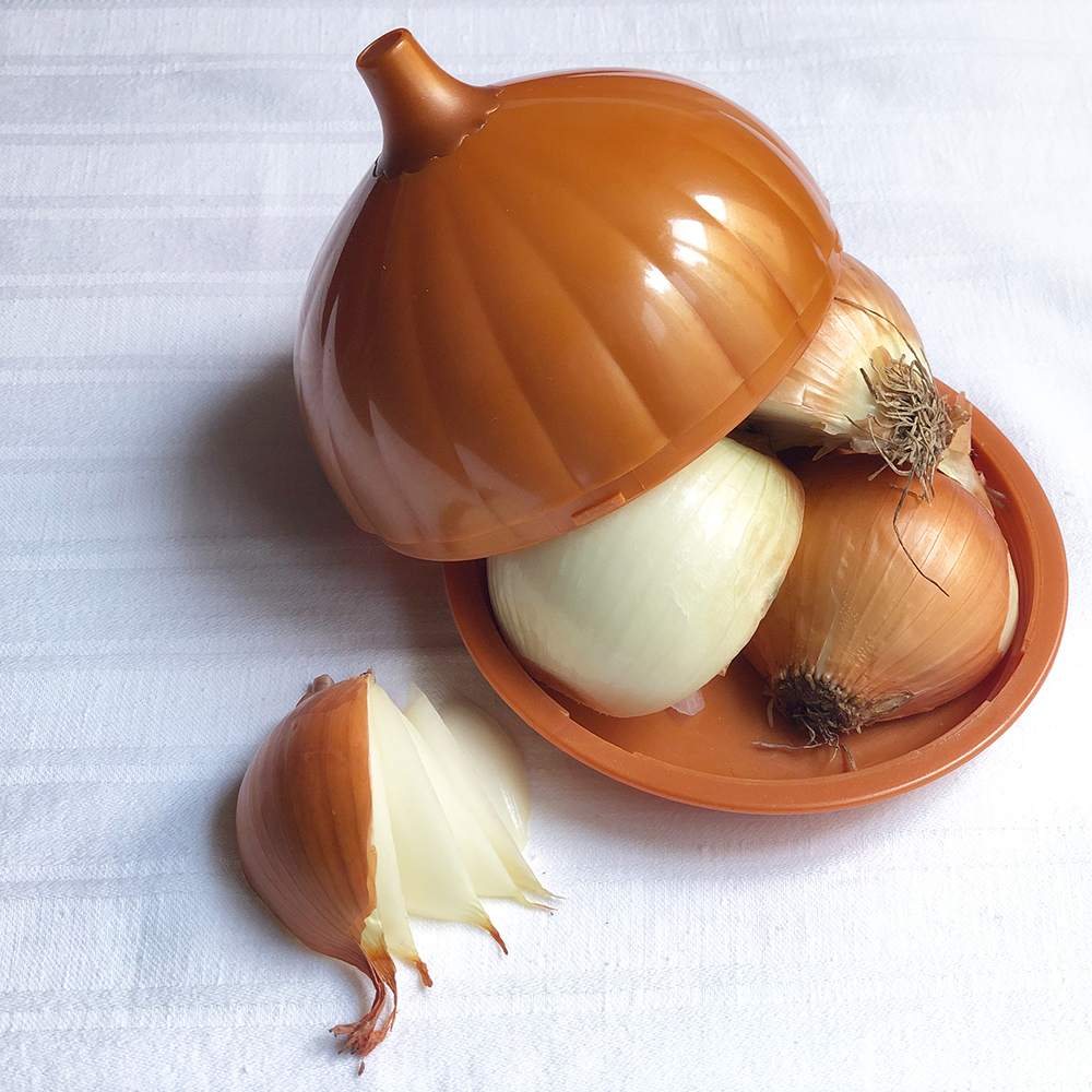 cutted onion into an onion holder