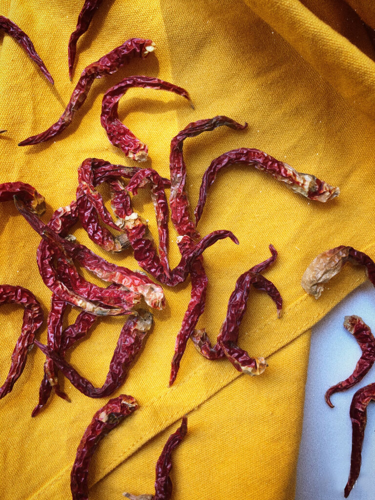 dried chili peppers on a yellow blanket