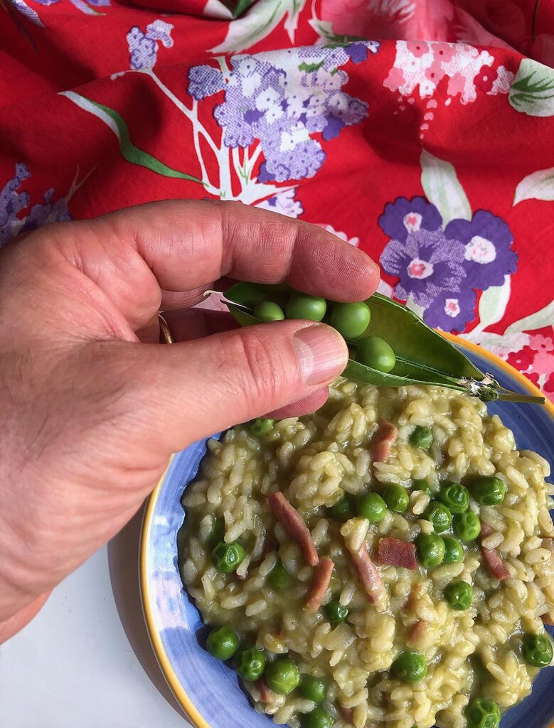 Hand holding a fresh peas, on the background a dish with rice and peas