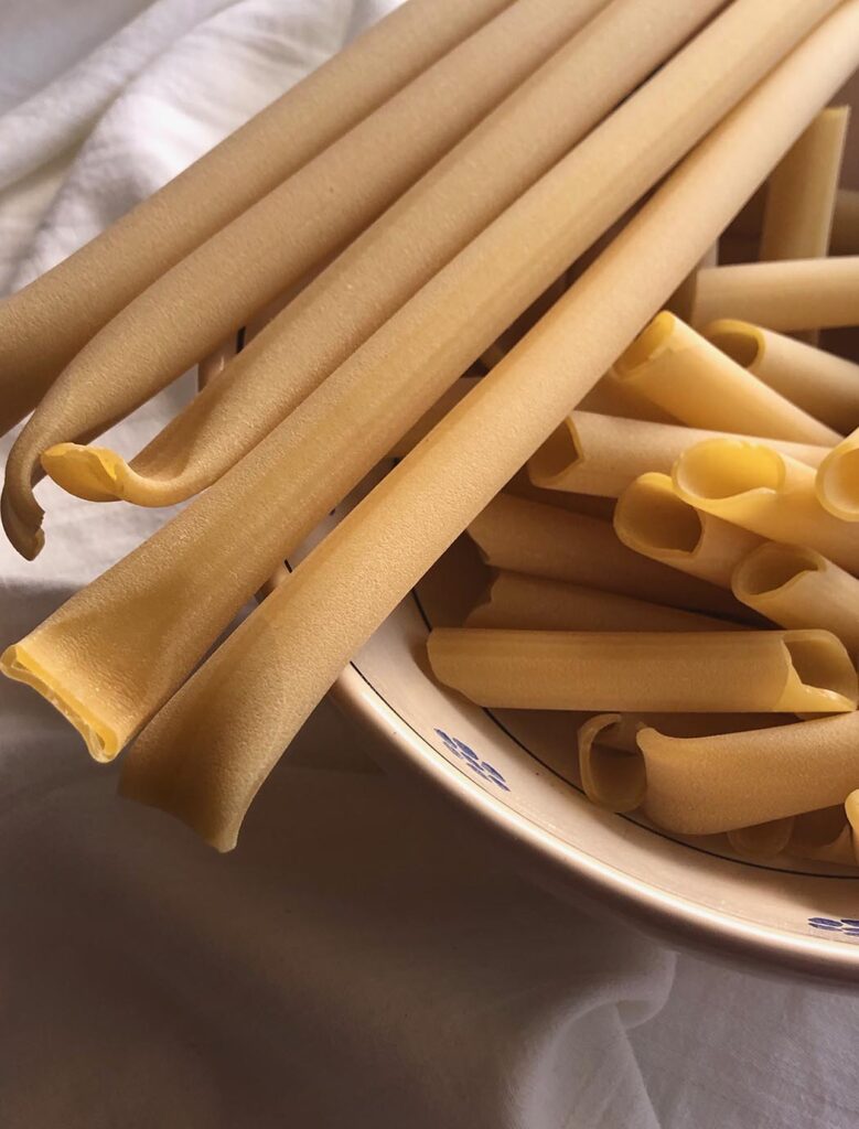 pasta