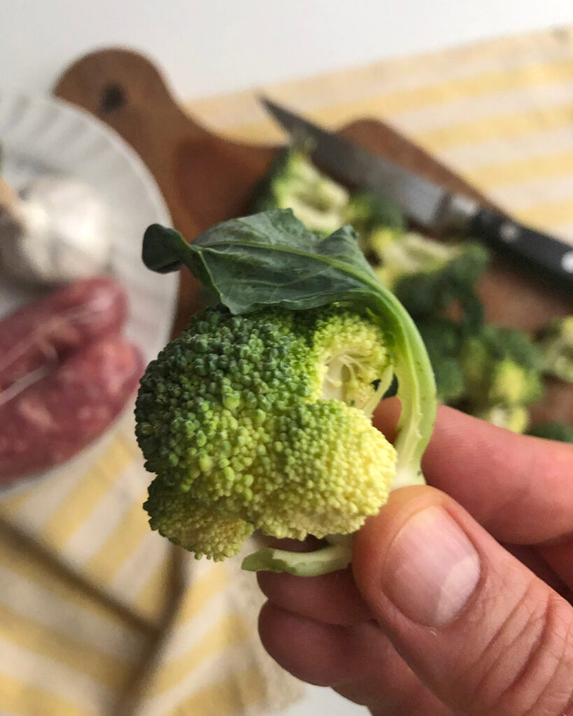 close up on a broccoli floret