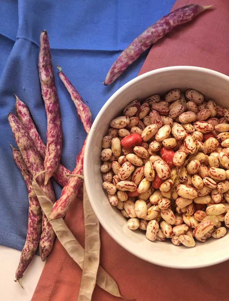fresh beans ready to be cooked
