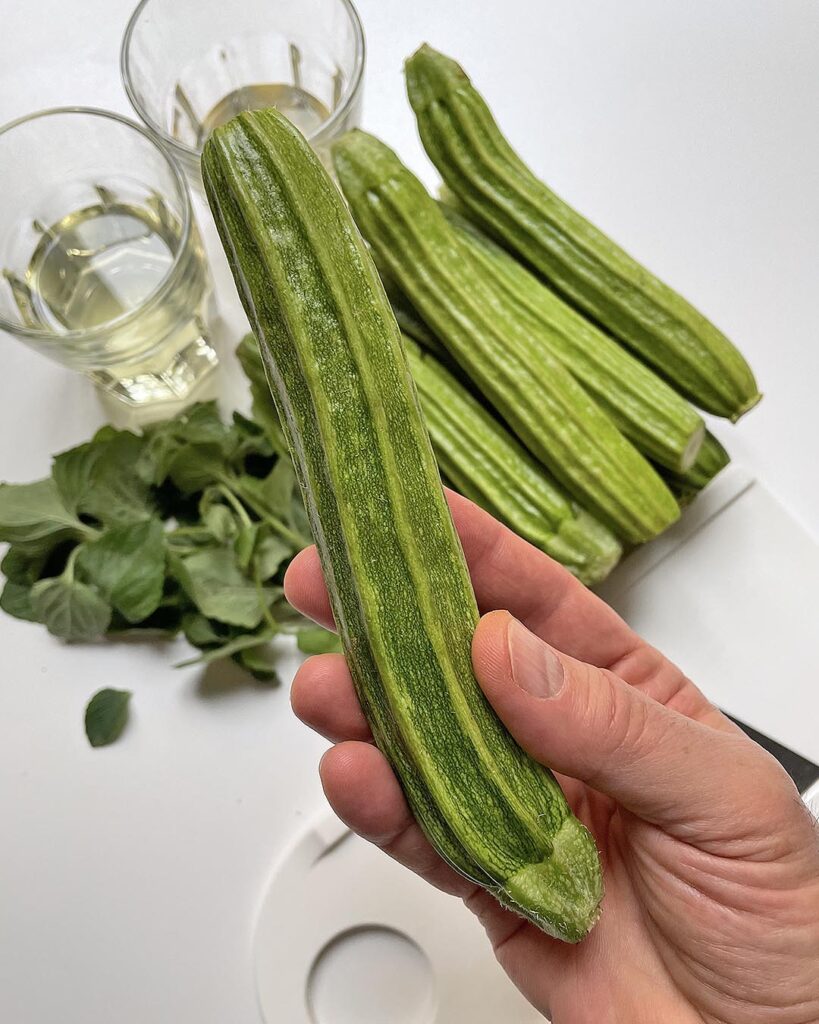 close up of a zucchini