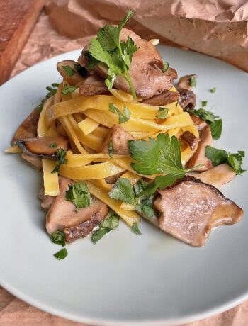 fettuccine with porcini mushrooms served on a green dish