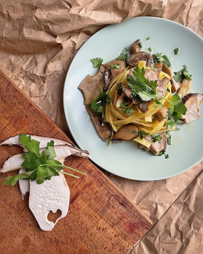 fettuccine with porcini mushrooms served on a green dish