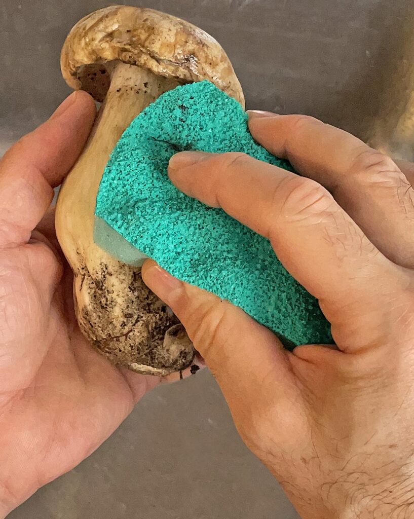 to clean porcini mushroom with a pad