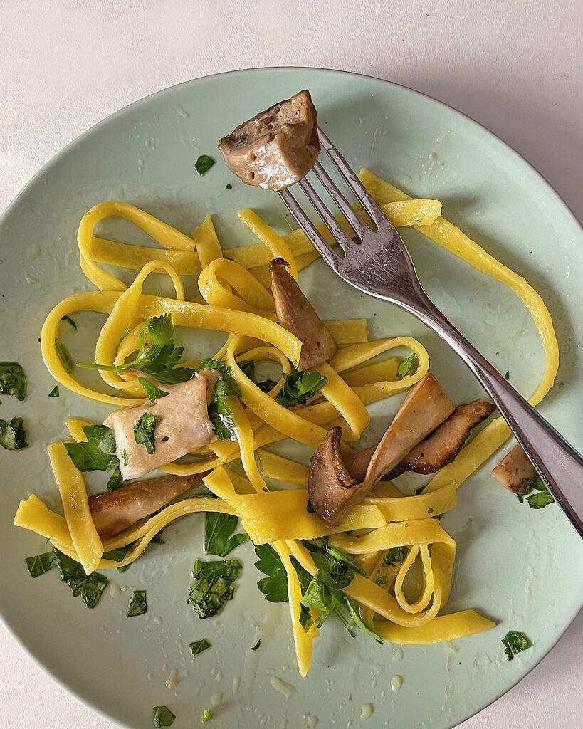 fettuccine with porcini mushrooms served on a green dish