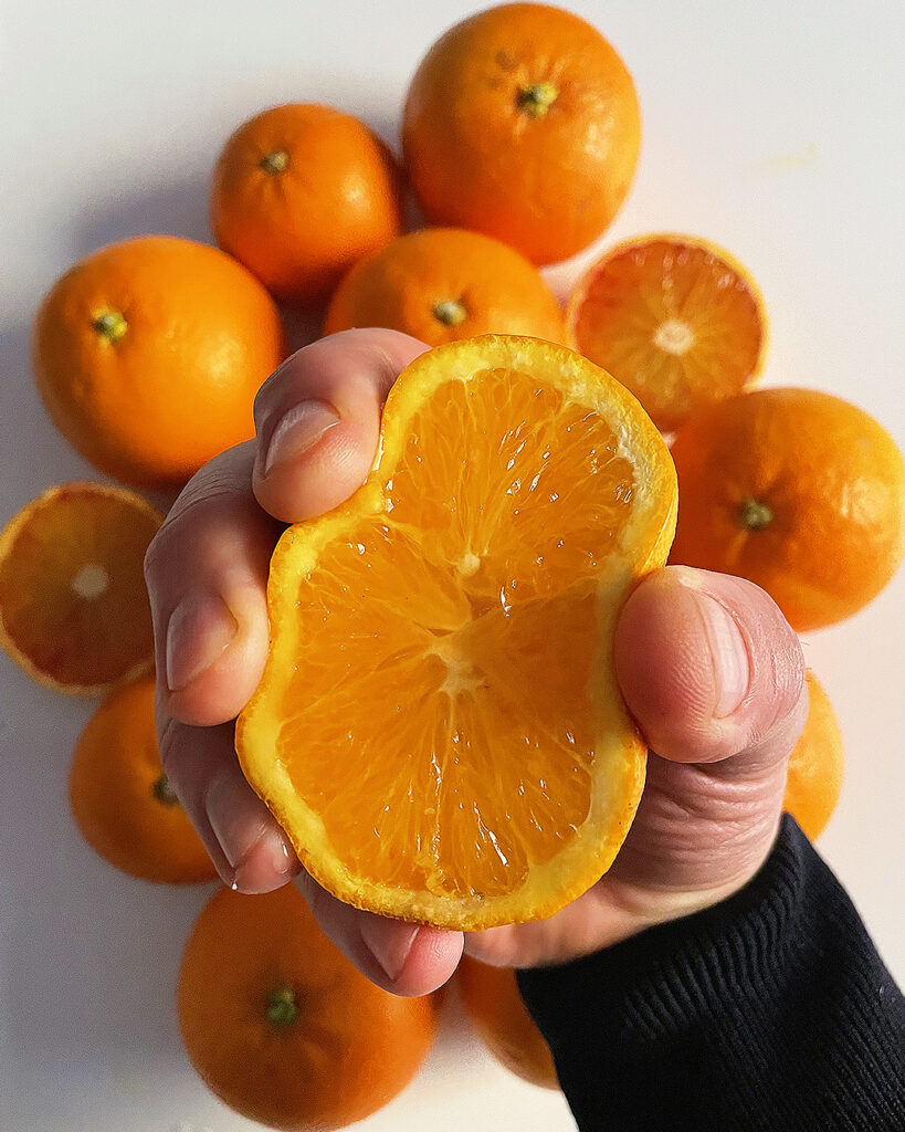 squeezing an orange