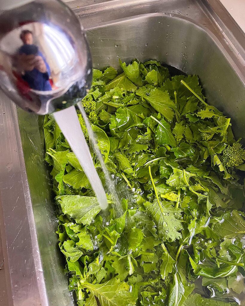 washing turnip green in a sink
