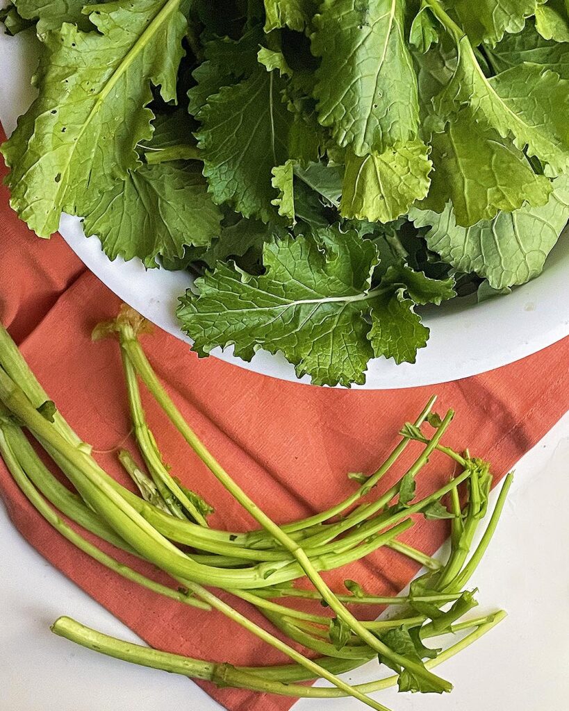 stems cutted out from leaves of turnip green