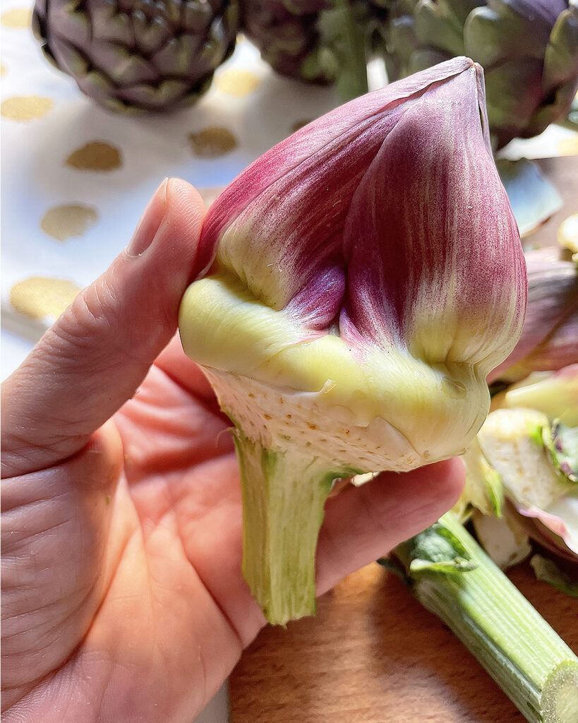 a artichoke perfectly cleaned
