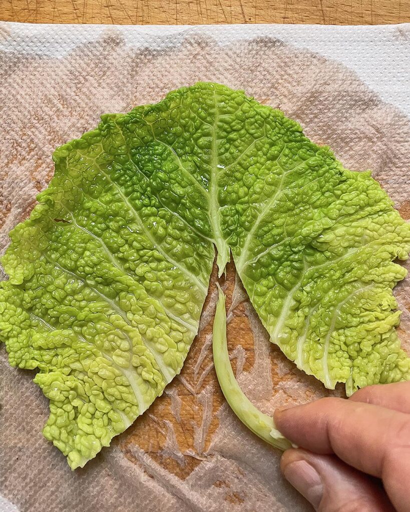 boiled cabbage leaf