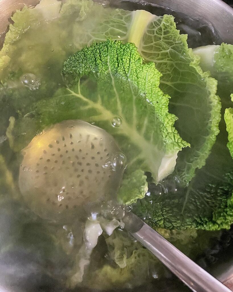 cabbage leaves boiled in hot water