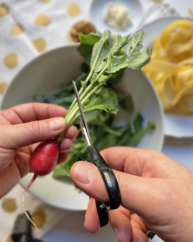 cutting greens from a bouquet of radish