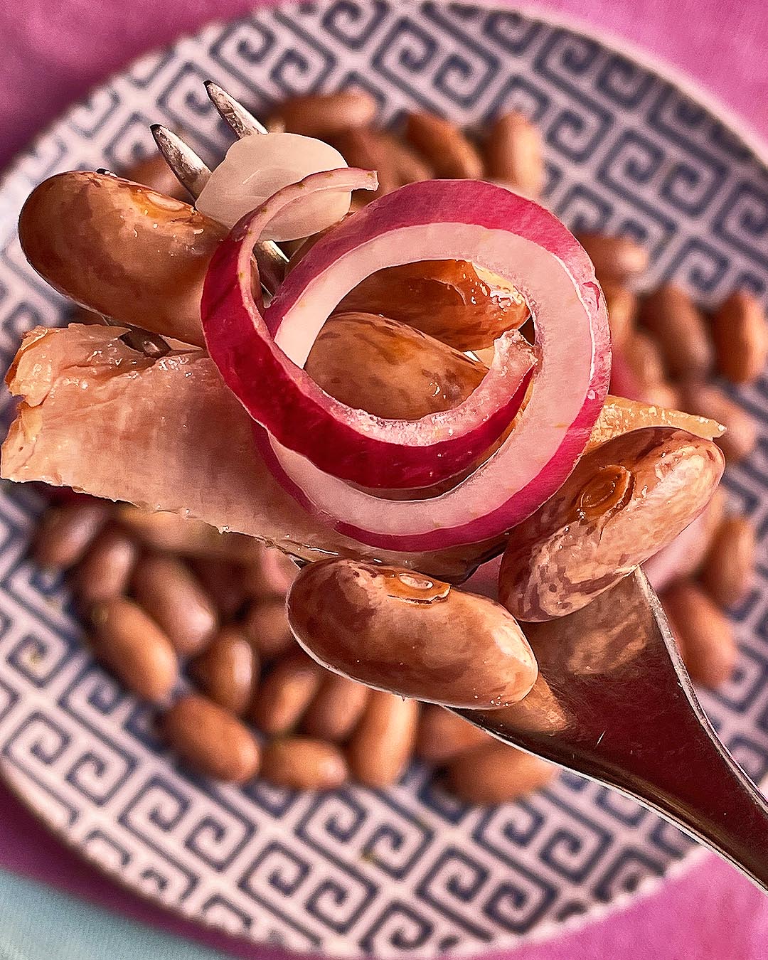 close up of a bite of tuna and bean salad