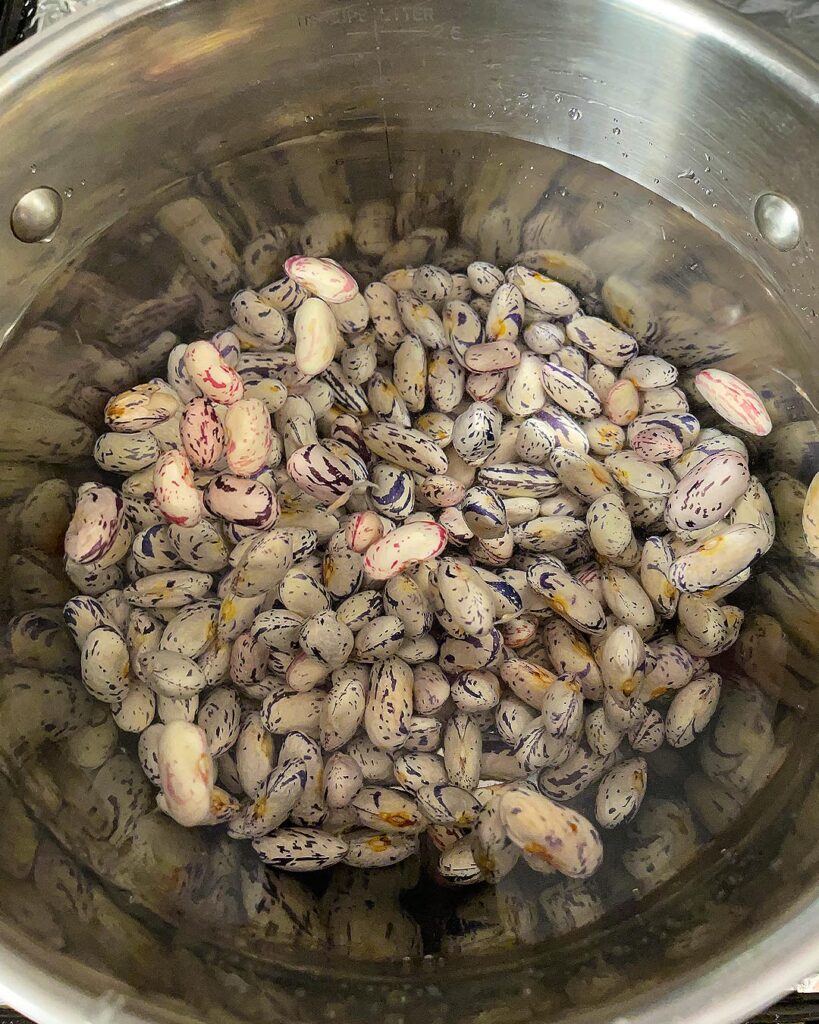 beans in water to boil